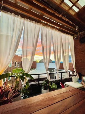 The Velvet Hippo Bar & Lounge by null