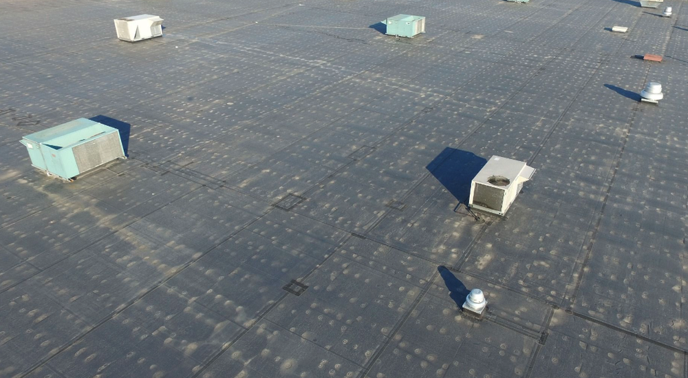 Slide of Noah's Ark Roofing