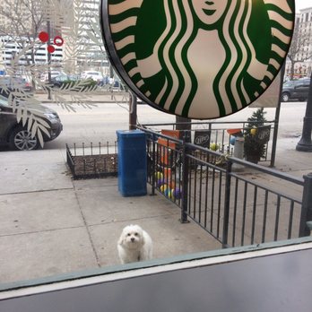 Starbucks - No pups allowed inside :( - Coffee & Tea Near Me - Cleveland, Ohio Starbucks - No pups allowed inside :( - Coffee & Tea Near Me - Cleveland, Ohio