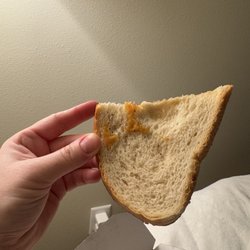 The Meltdown - That's how "juicy" the sandwich looks on one side.