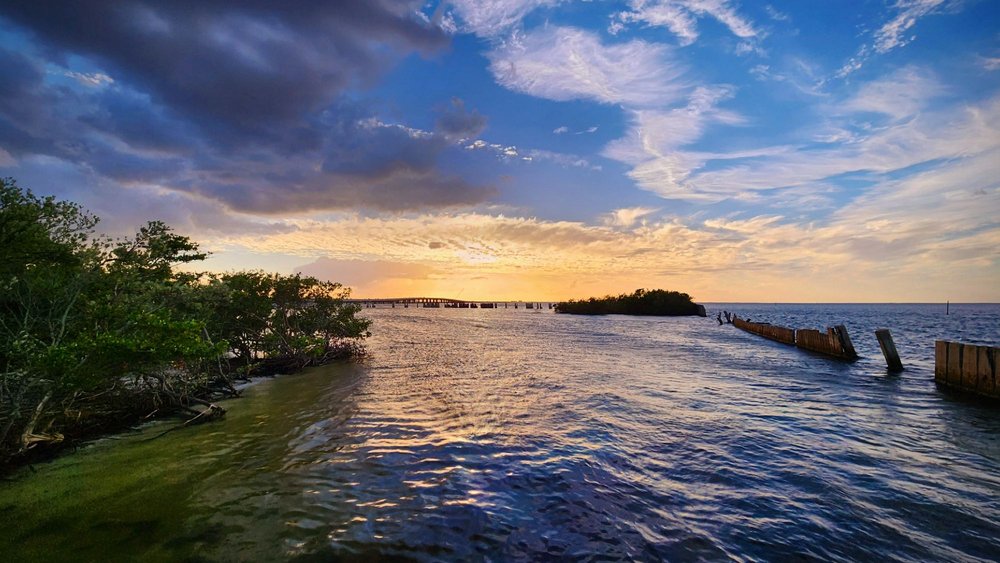 A.J. Palonis Jr. Park Image