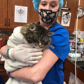 Crown Veterinary Specialists - Veterinarians Near Me - Lebanon, New Jersey