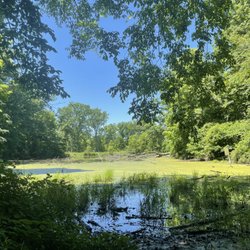 Emily Traphagen Preserve