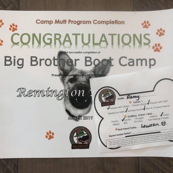 Camp Mutt - Remington H. Puppy: Camp Mutt class of '19 - Pet Training Near Me - Jacksonville, North Carolina