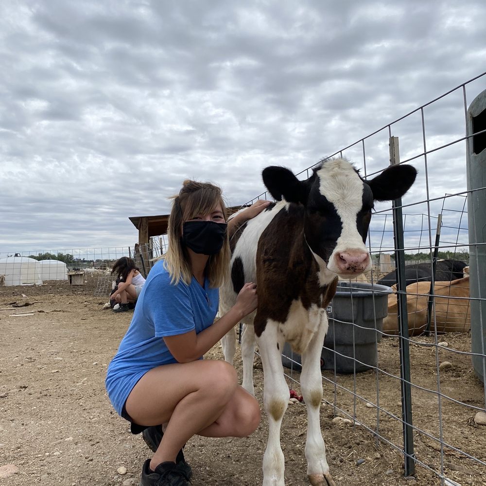 Baby moo Baby moo