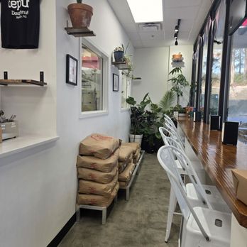 Tepuy Doughnuts - Atmosphere - Donuts Near Me - Raleigh, North Carolina Tepuy Doughnuts - Atmosphere - Donuts Near Me - Raleigh, North Carolina