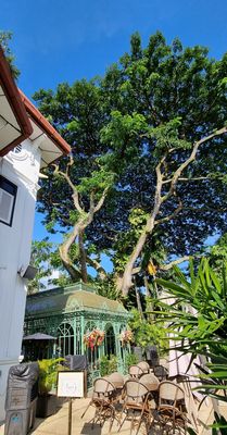 The Alkaff Mansion by null