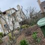 Photo of Jose Montoya Landscaping