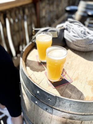 Standard Deviant Brewing by null