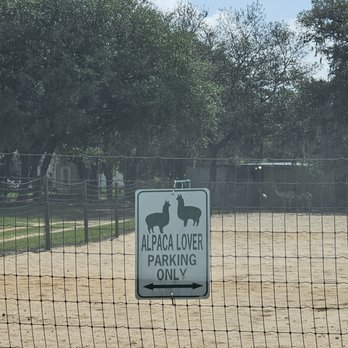 LunaSea Alpaca Farm - Attraction Farms Near Me - Clermont, Florida LunaSea Alpaca Farm - Attraction Farms Near Me - Clermont, Florida