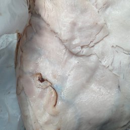 Spoiled boars head honey Turkey from Tony's meat market- 2 days shelf life. I wish you can smell this through the phone