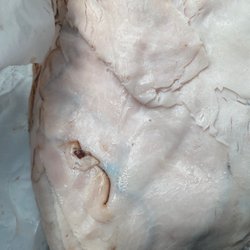 Tony's Meat Market - Spoiled boars head honey Turkey from Tony's meat market- 2 days shelf life. I wish you can smell this through the phone