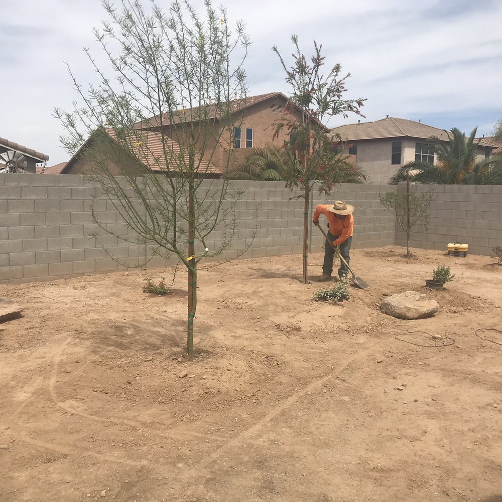 Treeland Nurseries - Trees and plants from Treeland planted - Nurseries & Gardening Near Me - Mesa, Arizona