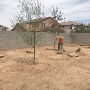 Treeland Nurseries - Trees and plants from Treeland planted - Nurseries & Gardening Near Me - Mesa, Arizona