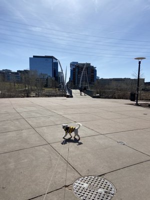 Commons Park by null