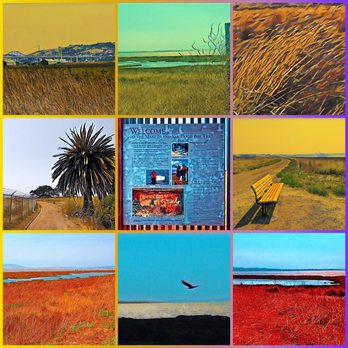 Mare Island San Pablo Bay Trail - Montage of images from Mare Island San Pablo Bay Trail - Landmarks & Historical Buildings Near Me Mare Island San Pablo Bay Trail - Montage of images from Mare Island San Pablo Bay Trail - Landmarks & Historical Buildings Near Me