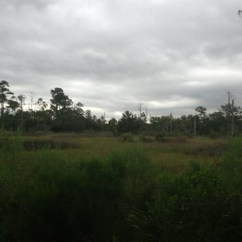 Castaway Island Preserve - Love it here! - Hiking Near Me - Jacksonville, Florida Castaway Island Preserve - Love it here! - Hiking Near Me - Jacksonville, Florida