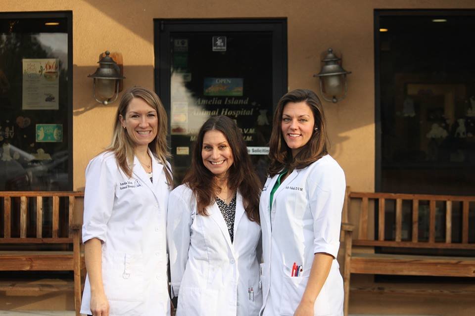 Amelia Island Animal Hospital Image
