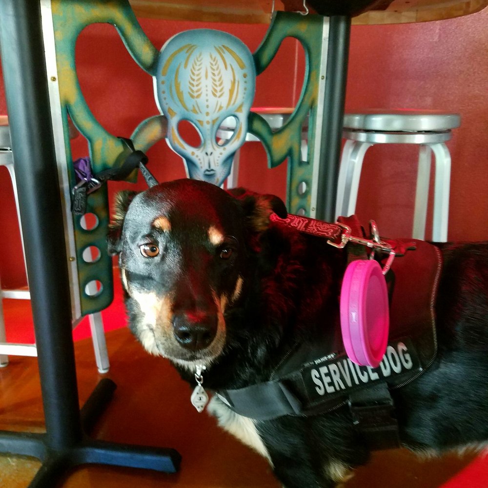 Alien Brew Pub - I will fight all the aliens if bacon is involved. - Burgers Near Me - Albuquerque, New Mexico Alien Brew Pub - I will fight all the aliens if bacon is involved. - Burgers Near Me - Albuquerque, New Mexico
