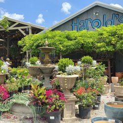 Harold's Indoor & Outdoor Plants