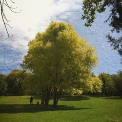 Parc de la Torse