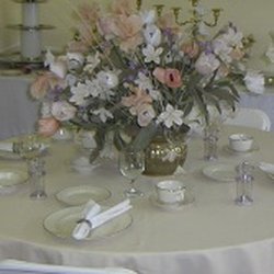 Thomas Equipment & Party Rentals