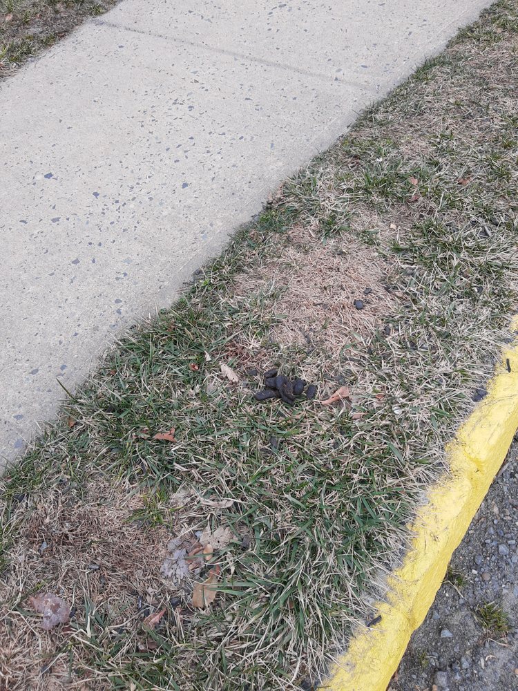 CAMELOT AT LA MER 13 Photos & 18 Reviews 20 Pointe Of Woods Dr N