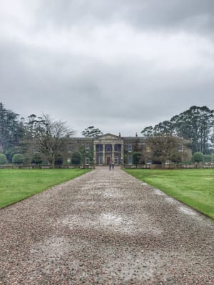 National Trust - Mount Stewart by null