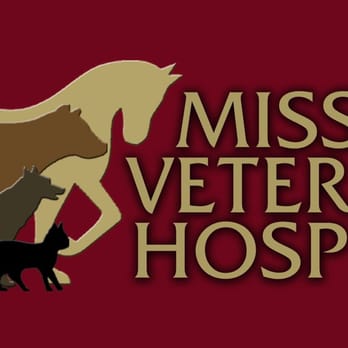 Mission Veterinary Hospital - Veterinarians Near Me - Mission, Texas Mission Veterinary Hospital - Veterinarians Near Me - Mission, Texas