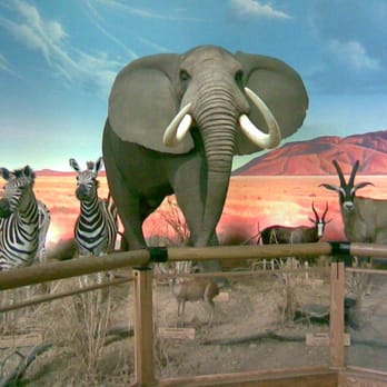 Cabela's - Outdoor Gear Near Me - Triadelphia, West Virginia