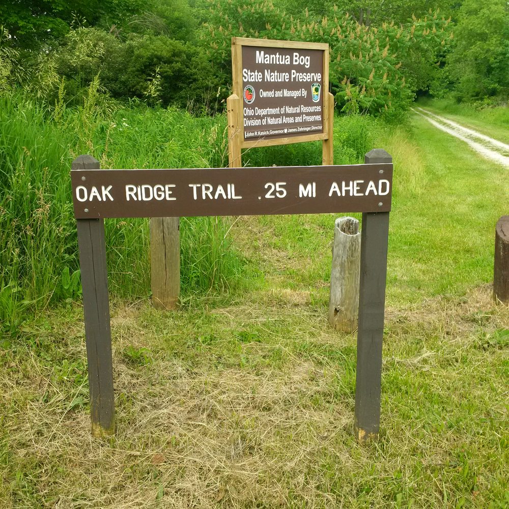 Social spots from Mantua Bog State Nature Preserve