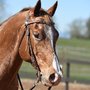 Photo of Glen Valley Stables