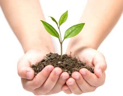 Dayspring Services of Arkansas - grief counselor in Van Buren, AR