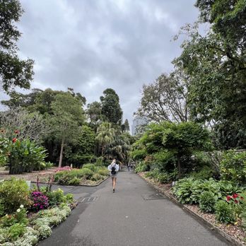 Royal Botanic Gardens - Botanical Gardens Near Me - Sydney, NSW Royal Botanic Gardens - Botanical Gardens Near Me - Sydney, NSW