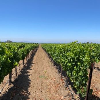 Temecula Carriage Company - Carter Estates Winery - Wine Tours Near Me - Temecula, California