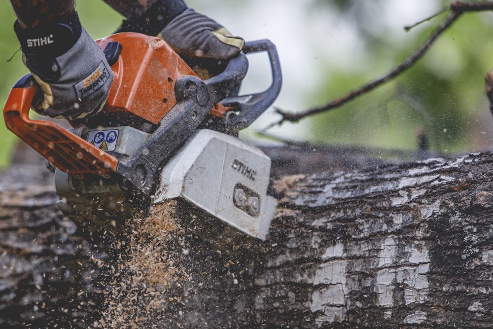 Beaver Land & Tree - tree service in Garfield, AR