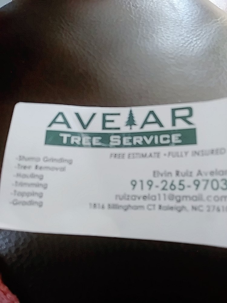 Avelar Tree Service - tree service in Raleigh, NC