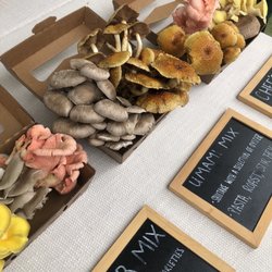 Silverlake Farmers Market