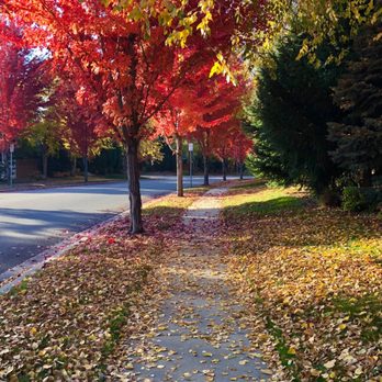Champion Park - Parks Near Me - Meridian, Idaho