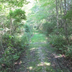 Down toward the river