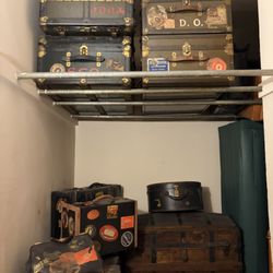 The History Museum - The Olivers traveled a lot.