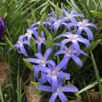 Colorblends House & Spring Garden - Nurseries & Gardening Near Me - Bridgeport, Connecticut