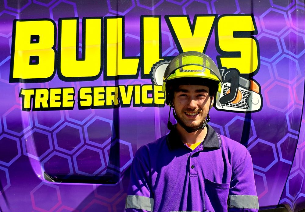 Bullys Tree Service - tree service in East Peoria, IL