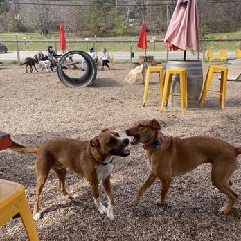Wagbar - Dog Parks Near Me - Weaverville, North Carolina