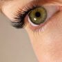 Lash And Brow Masters