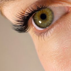 Lash And Brow Masters