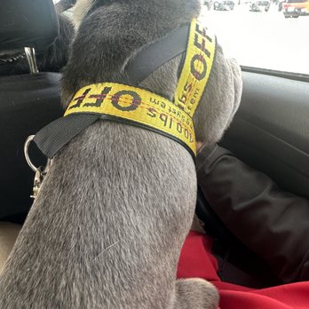 Petco - Shedding and dandruff - Pet Training Near Me - North Aurora, Illinois