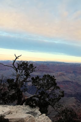 South Rim Trail by null