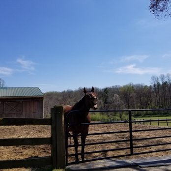 Hidden Valley Farm - Greatest pic! - Horseback Riding Near Me - Newtown Square, Pennsylvania Hidden Valley Farm - Greatest pic! - Horseback Riding Near Me - Newtown Square, Pennsylvania
