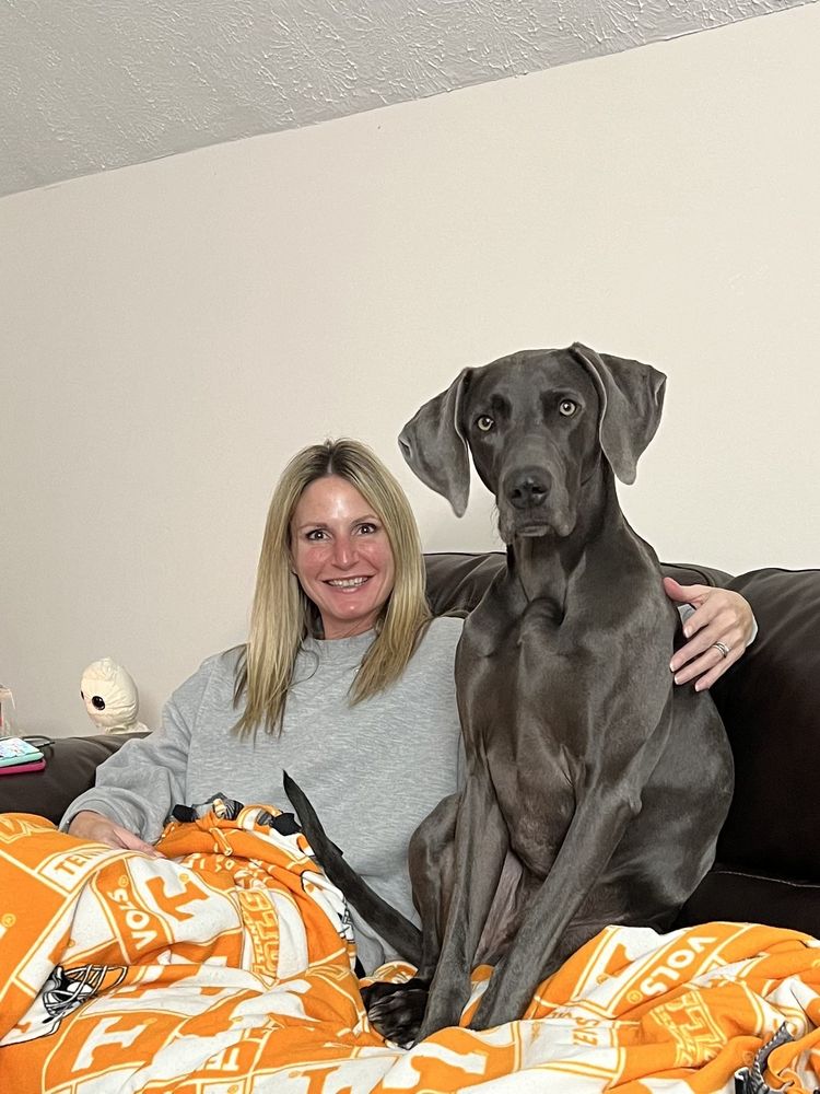 Nippers Corner Pet Medical Center - pet boarding facility in Nashville, TN